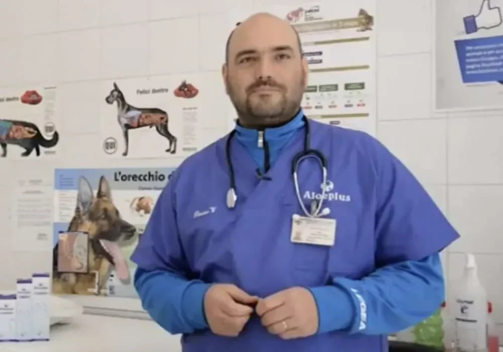 Intervista al Dott. Russo Vincenzo