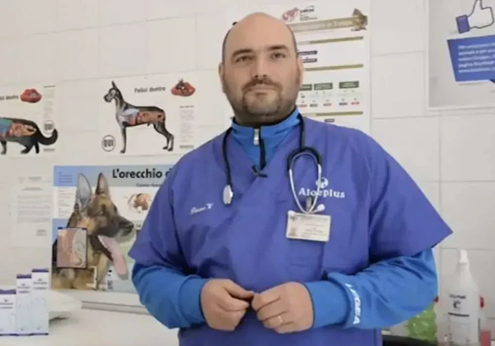 Intervista al Dott. Russo Vincenzo