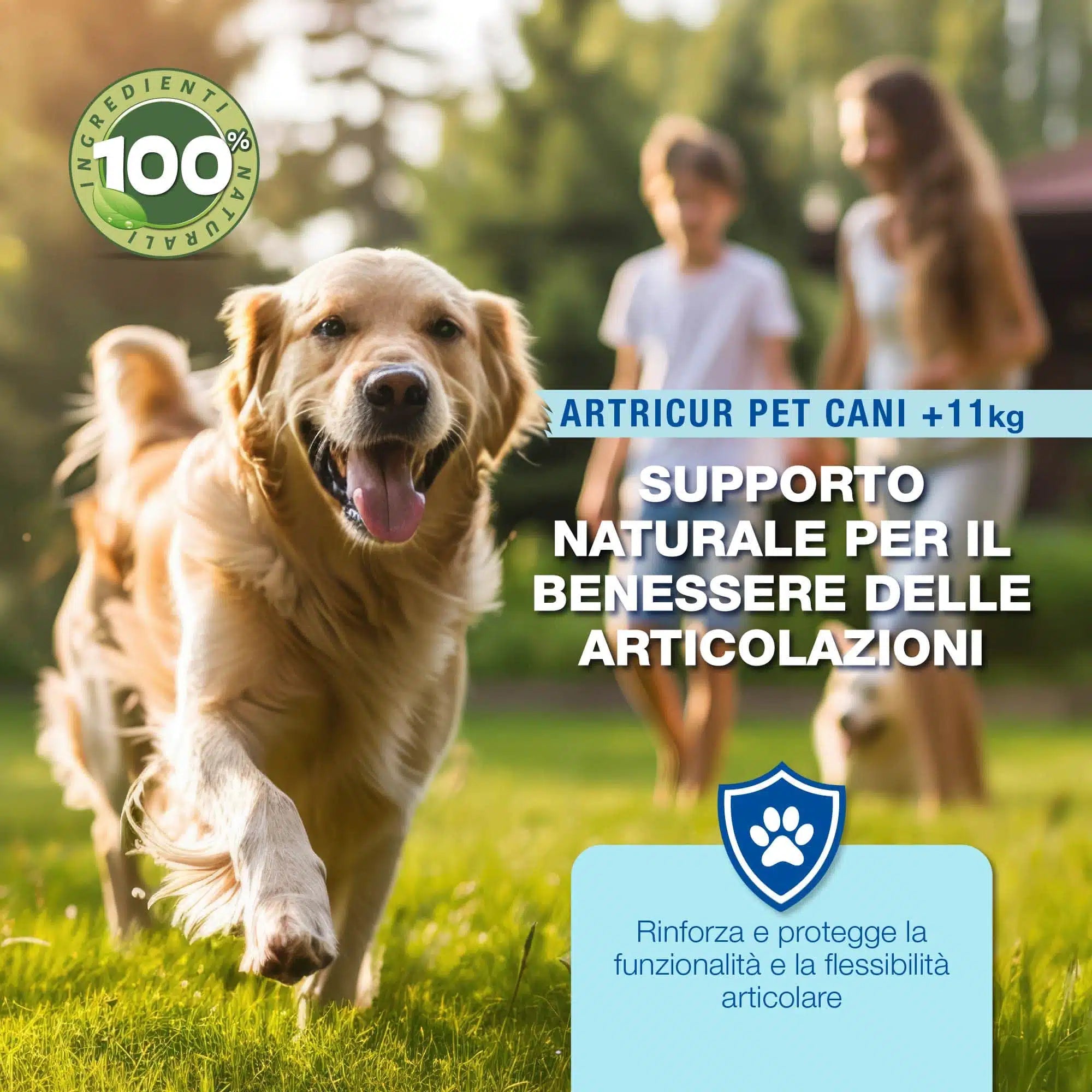 Artricur Pet Cani +11 kg