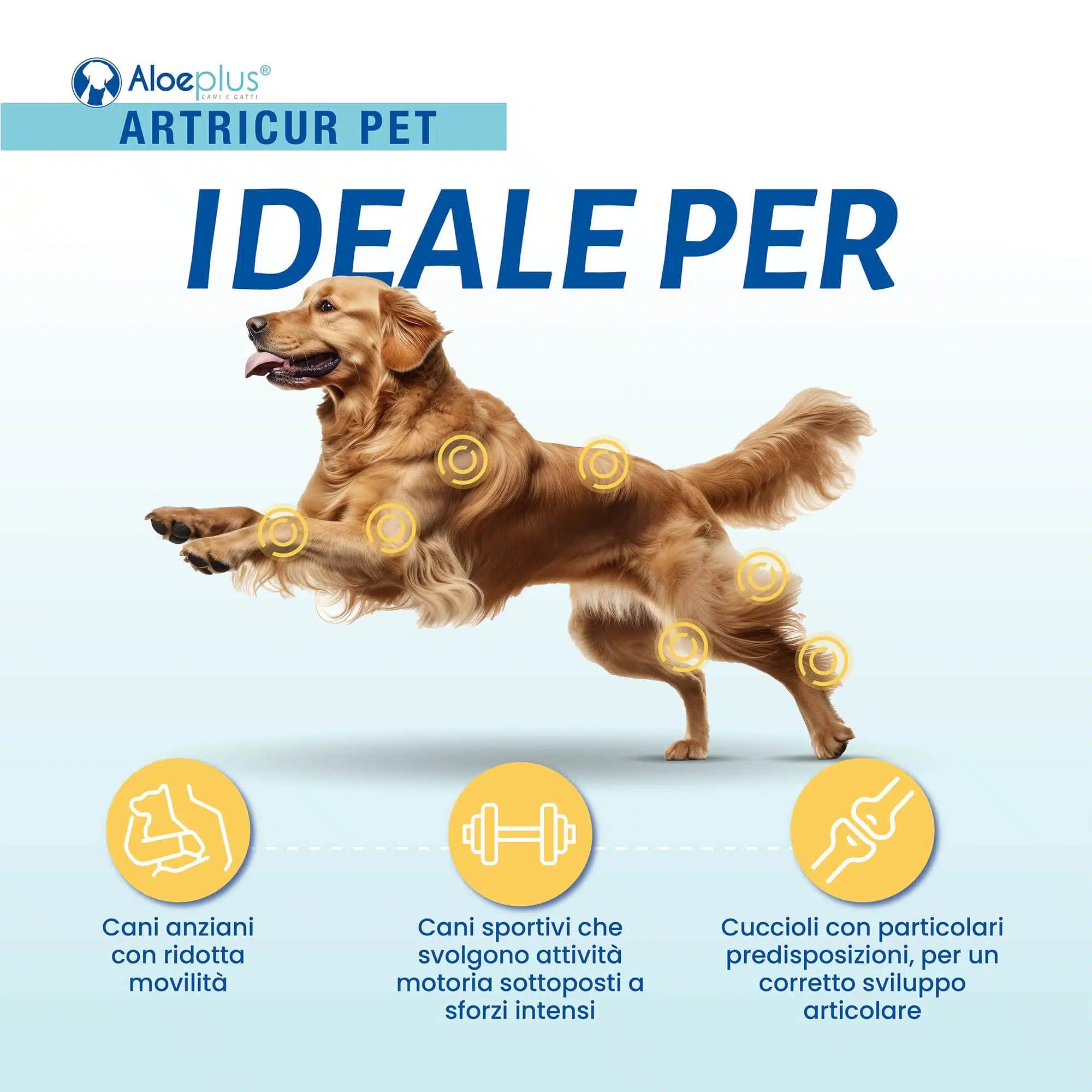 Artricur Pet Cani +11 kg