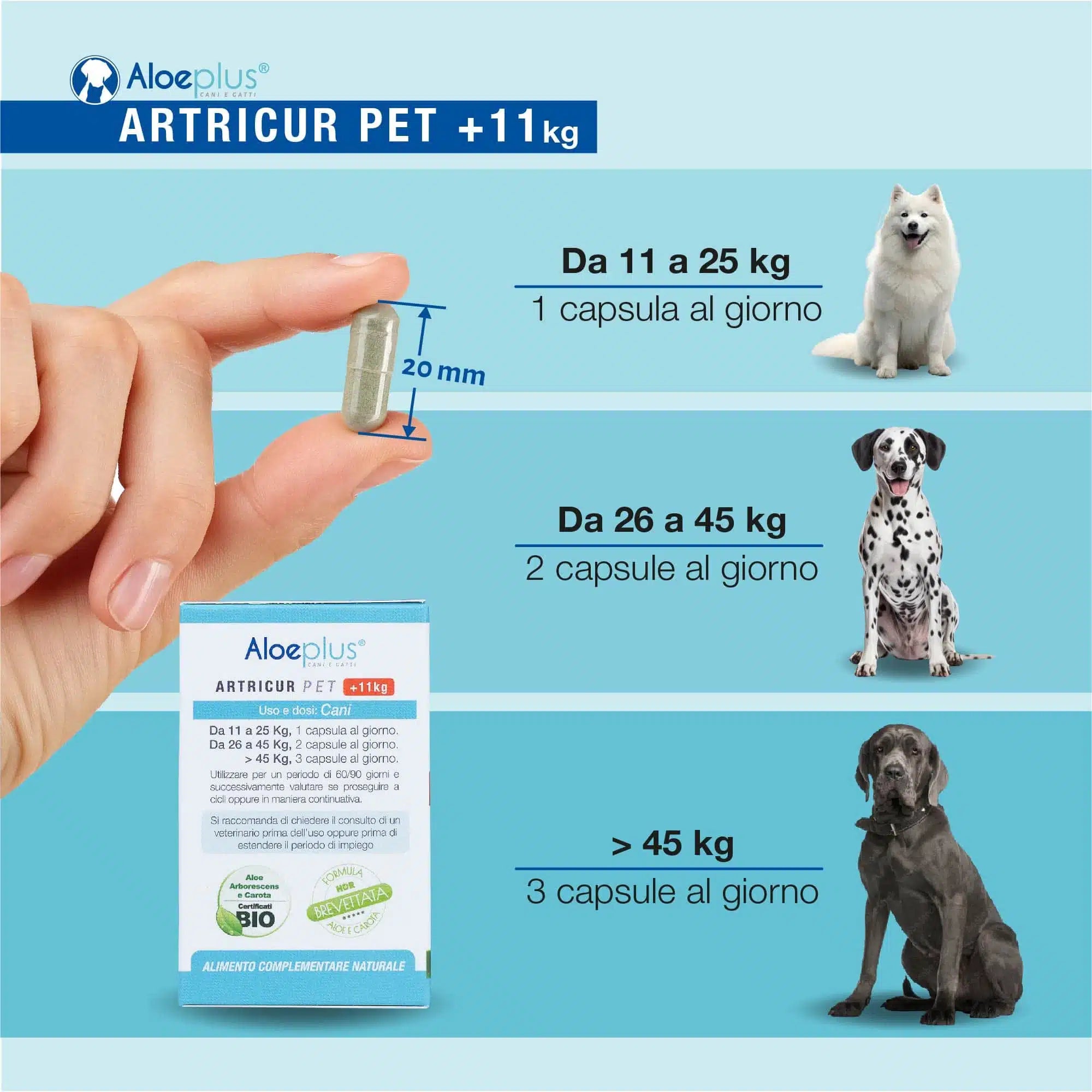 Artricur Pet Cani +11 kg