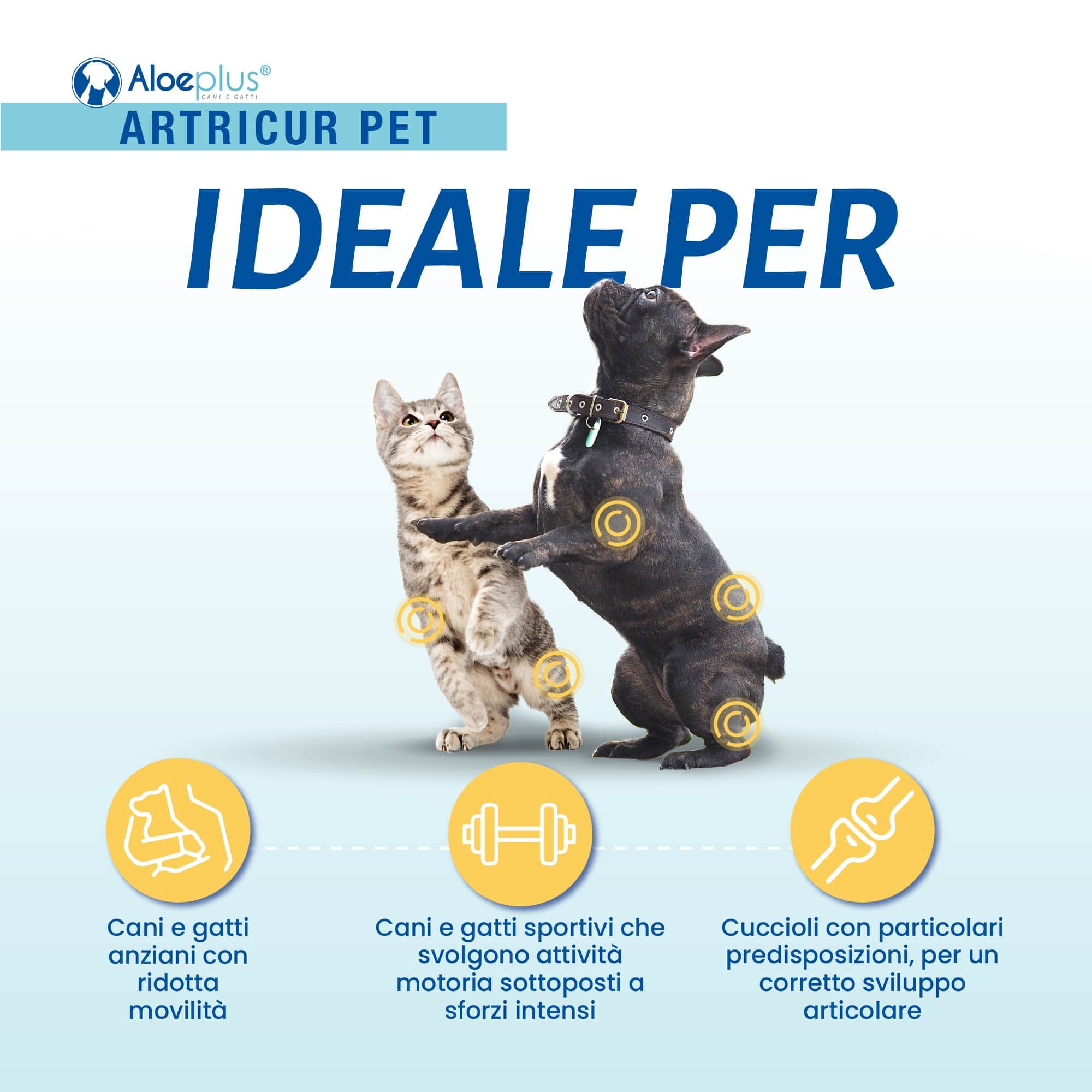 Artricur Pet Cani e Gatti 0-10 kg