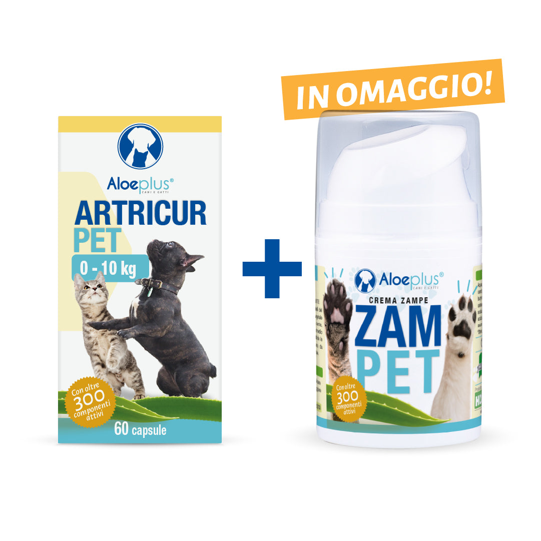 Offre Artricur Pet 0-10 kg + Zampet 50 ml (offert)