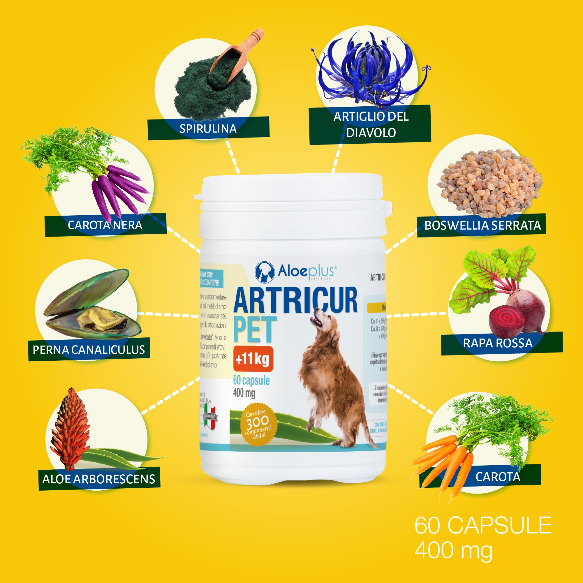 Artricur Pet Cani +11 kg