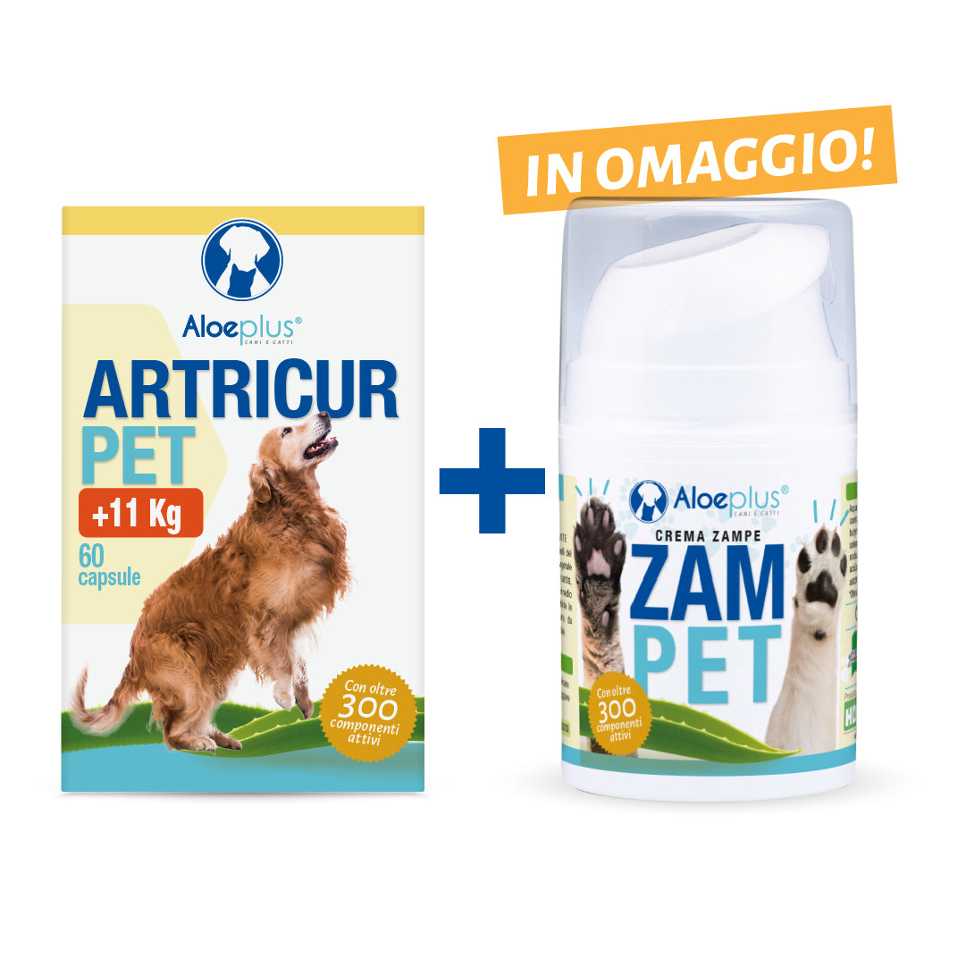 Offre Artricur Pet +11 kg + Zampet 50 ml (offert)