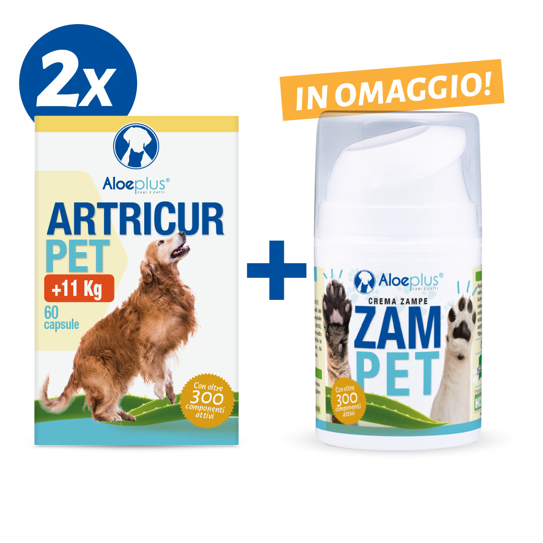 Offre 2x Artricur Pet +11 kg + Zampet 50 ml (offert)