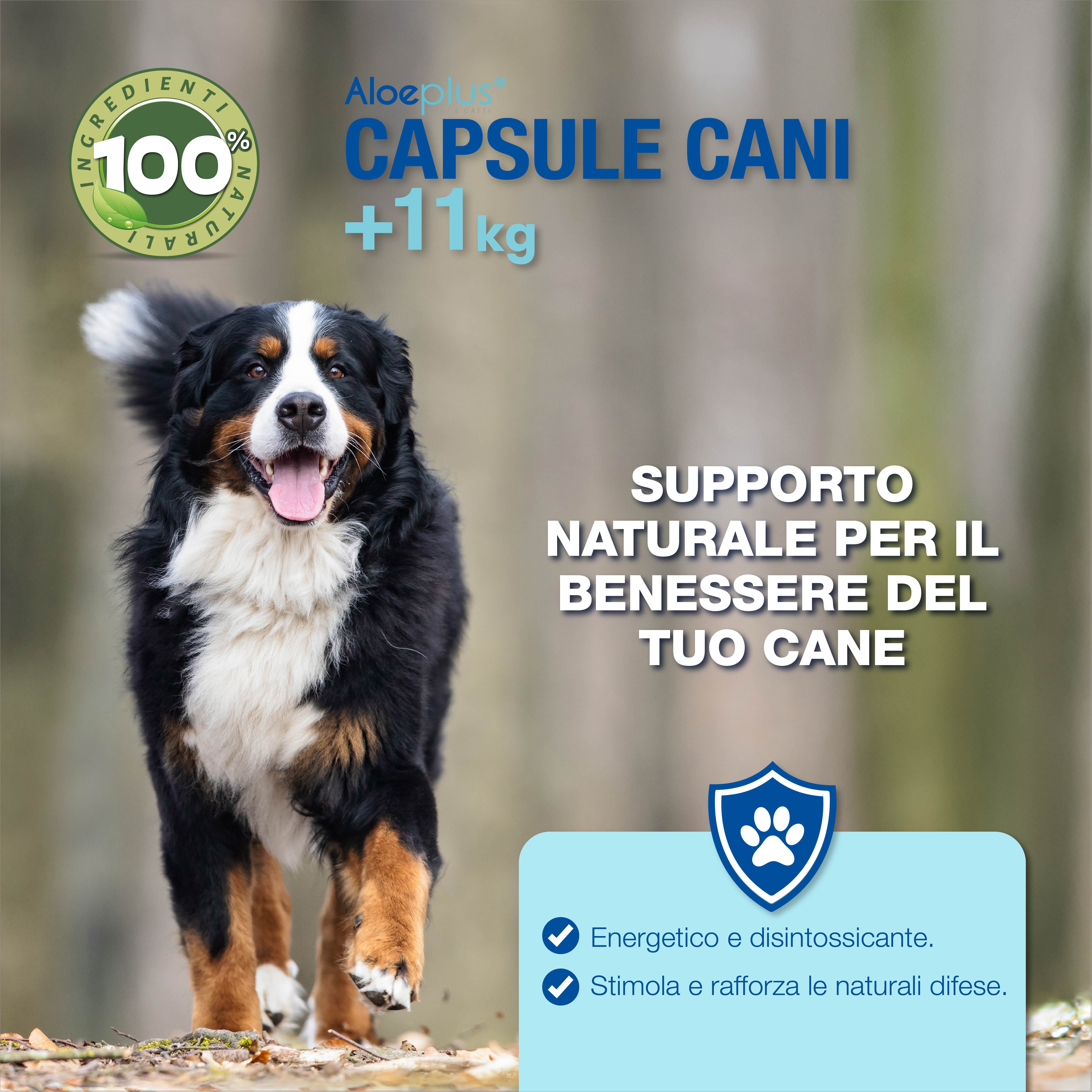 Aloeplus capsule cani 11+ kg.