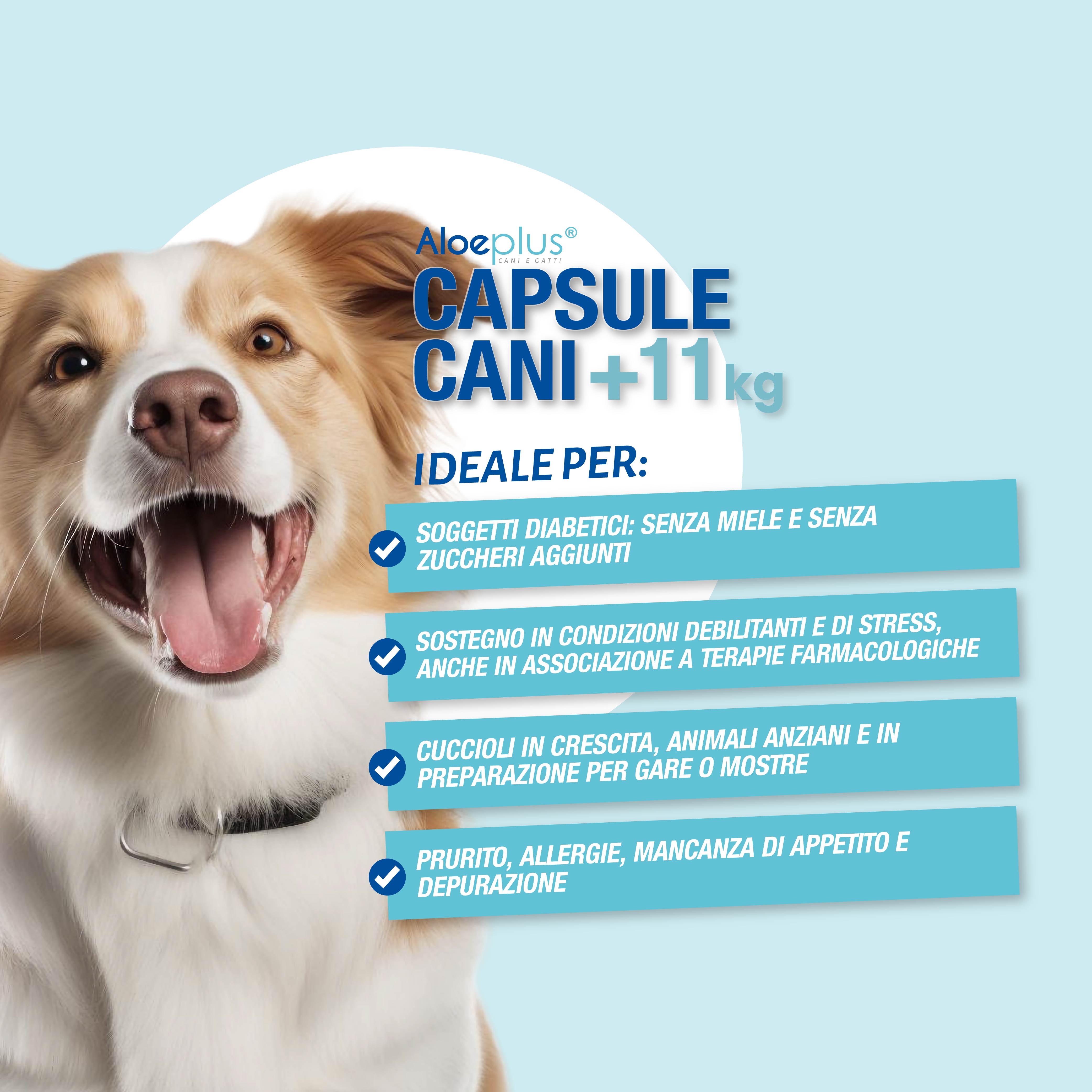 Aloeplus capsule cani 11+ kg.