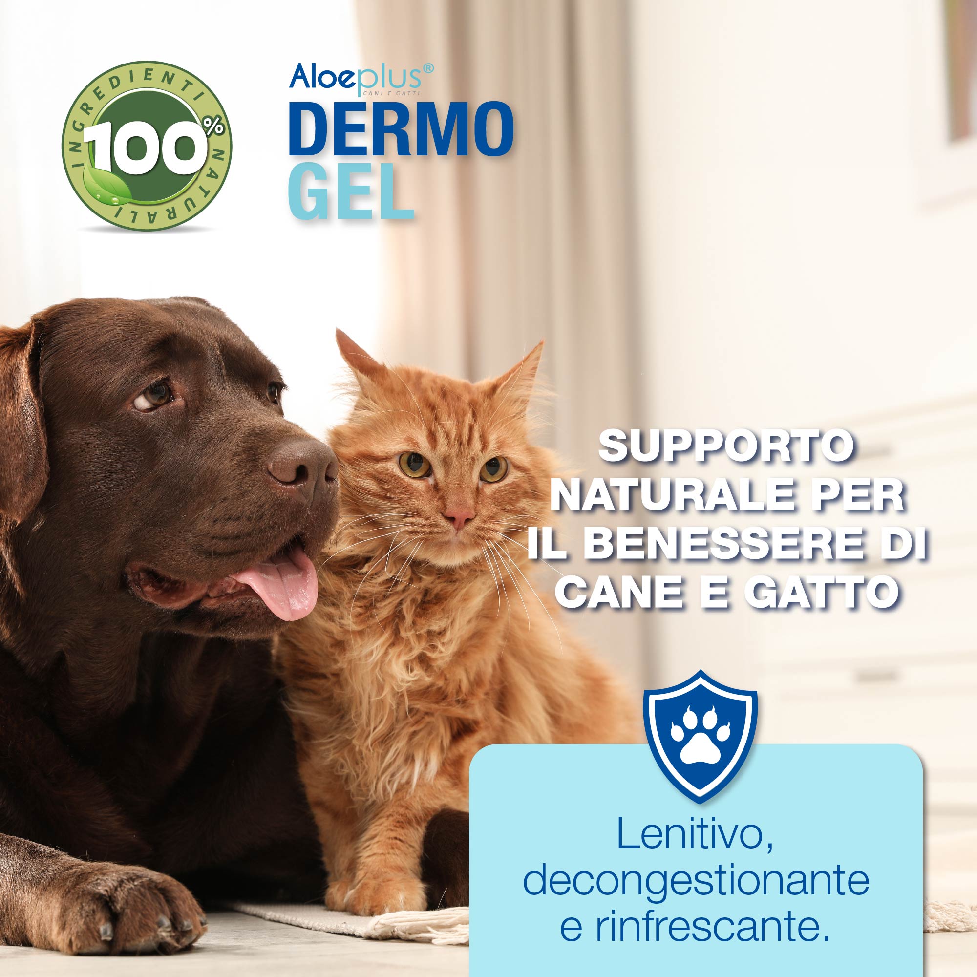 Aloeplus Dermo Gel 200 ml