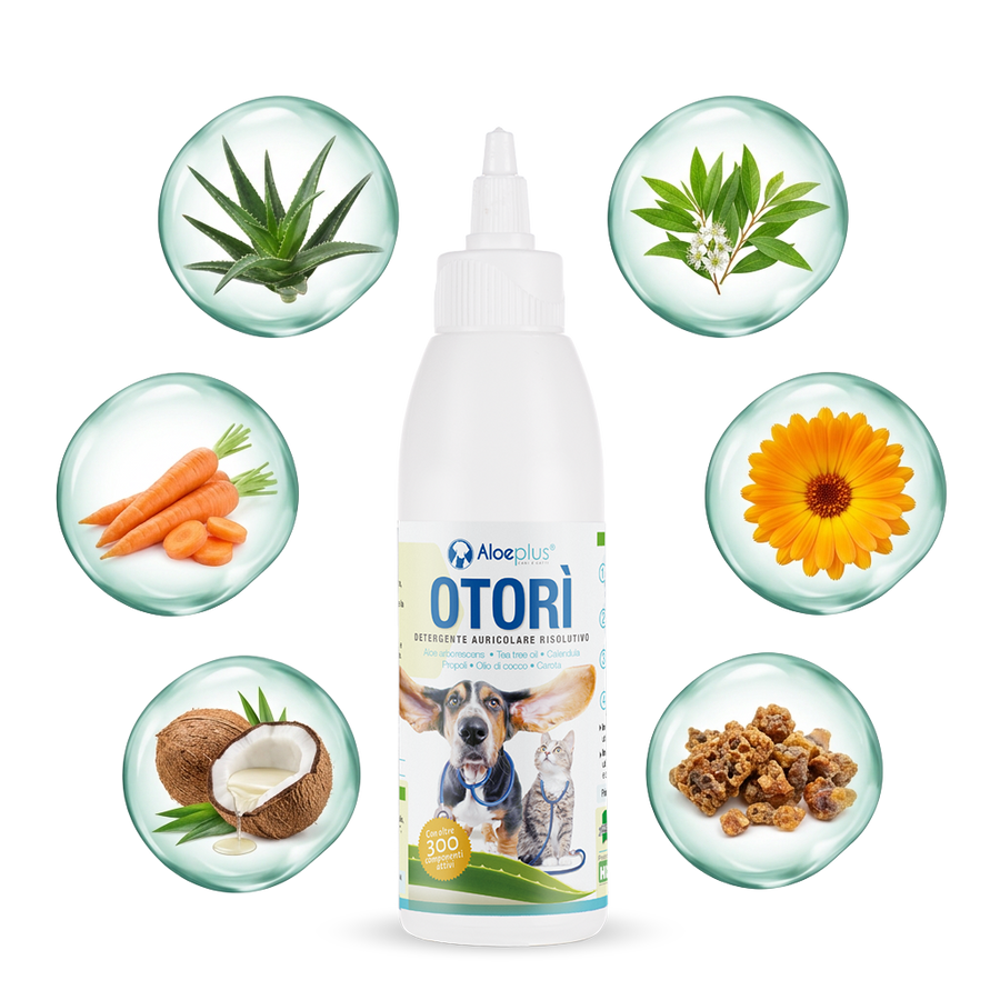 Aloeplus Otorì con aloe