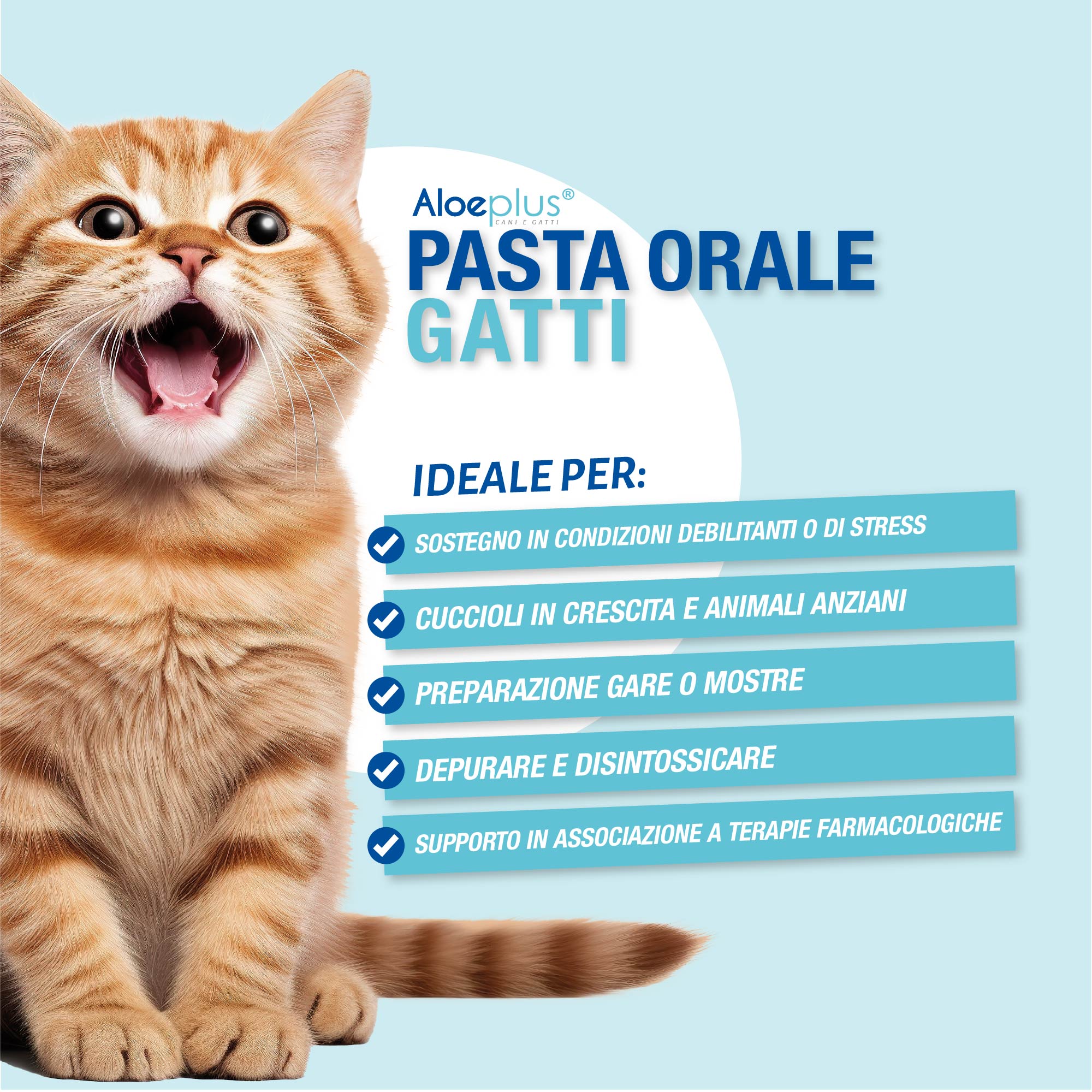 Aloeplus Pasta orale Gatti