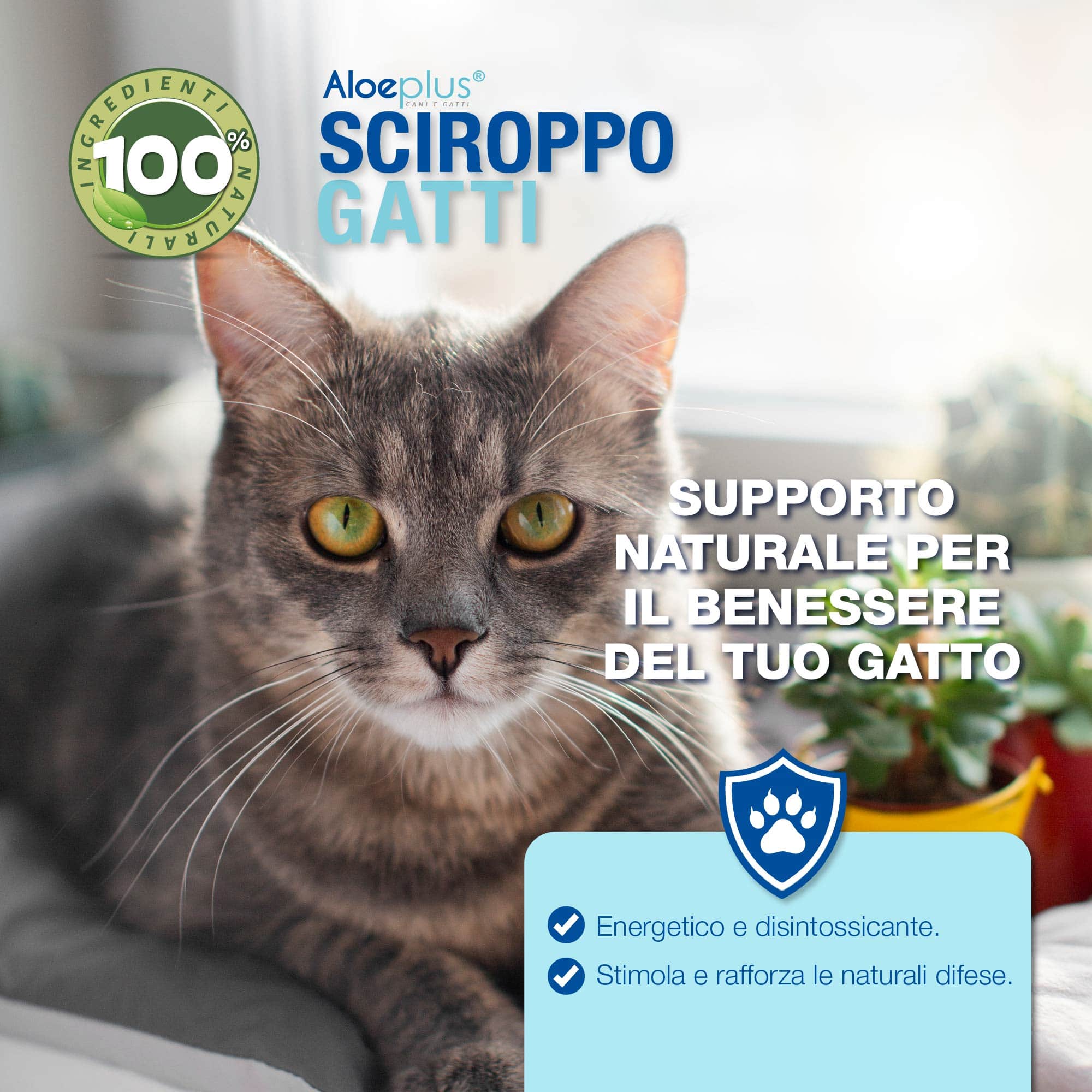 Aloeplus Sciroppo Gatti 100 ml
