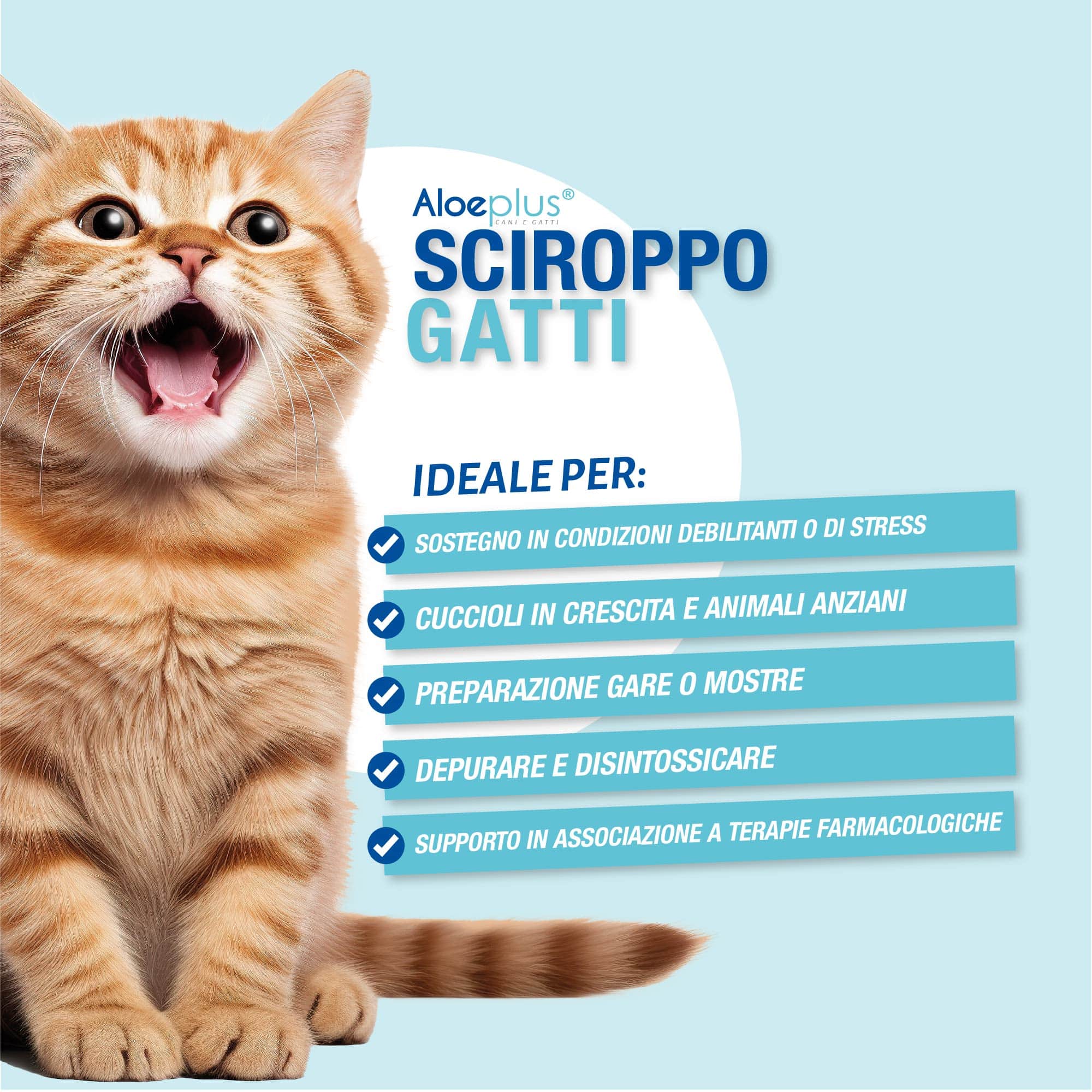 Aloeplus Sciroppo Gatti 100 ml
