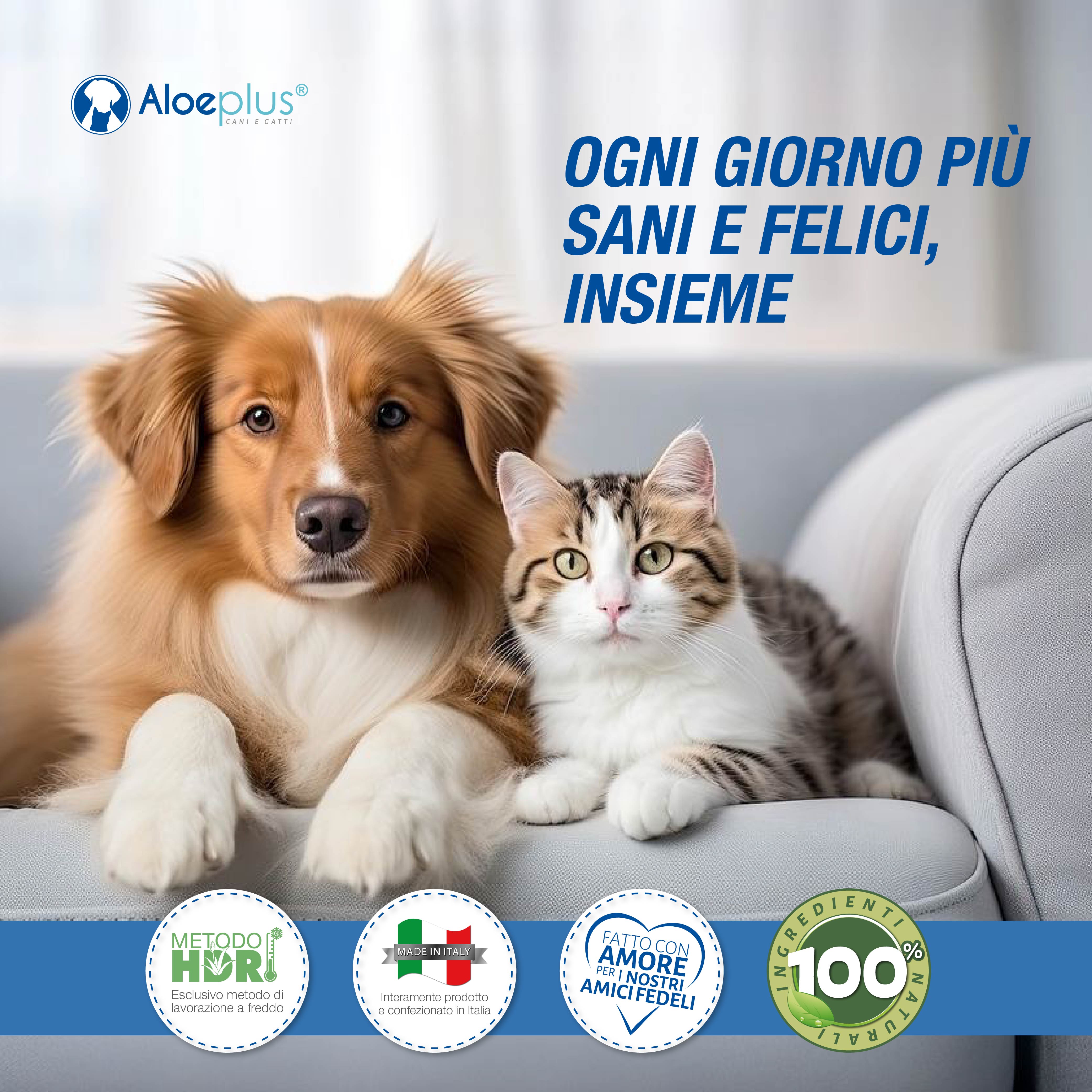 Zampet -  Crema polpastrelli antiscivolo