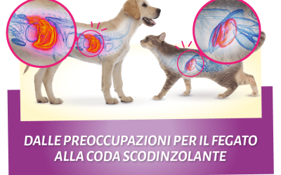 Dalle preoccupazioni per il fegato alla coda scodinzolante: Scopri i rimedi naturali che possono aiutare cani e gatti a superare i problemi epatici